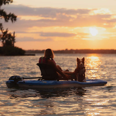 Top Tips for Kayaking with Your Dog